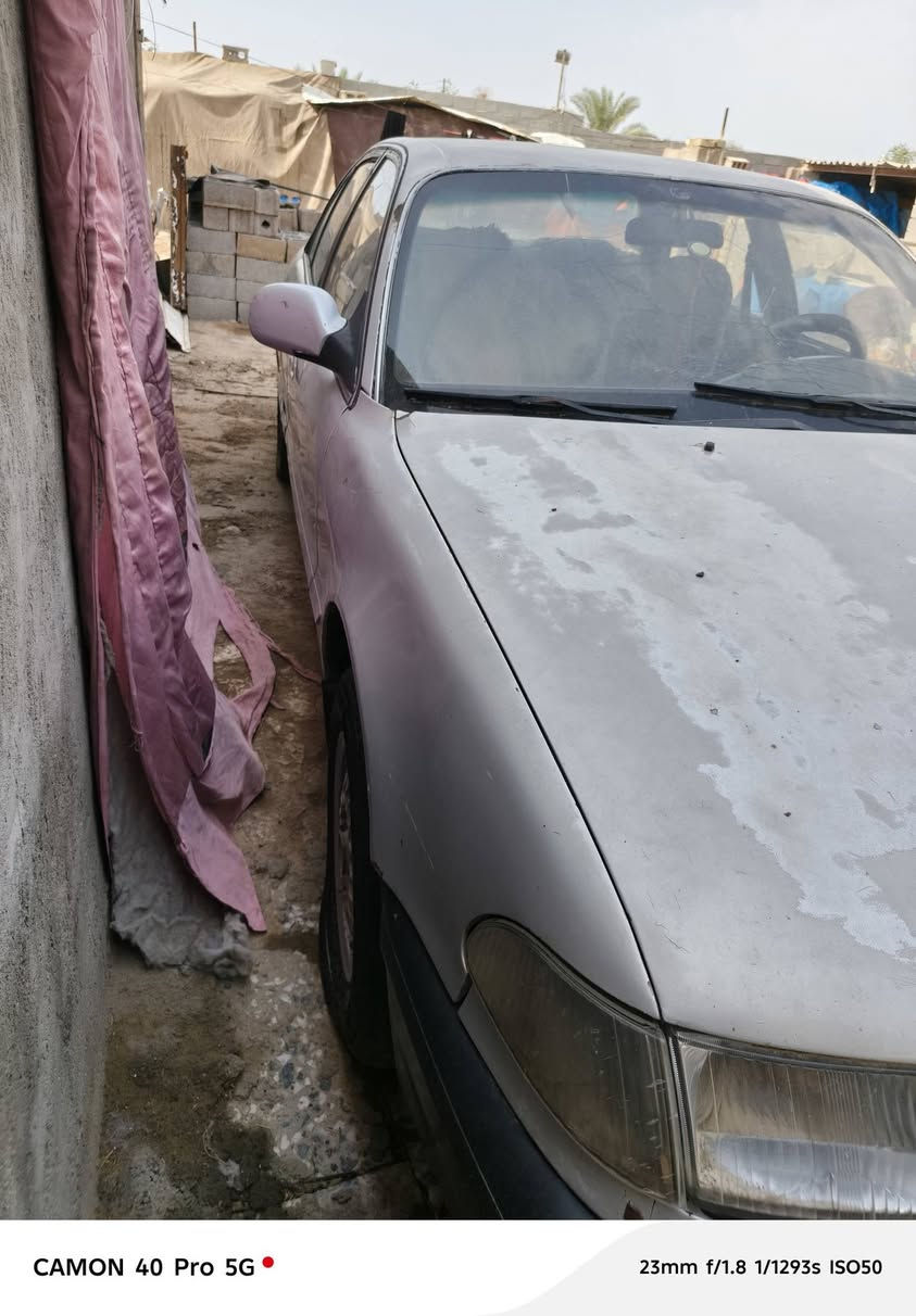 سوناتا • كير كفاله • حداديه زينه