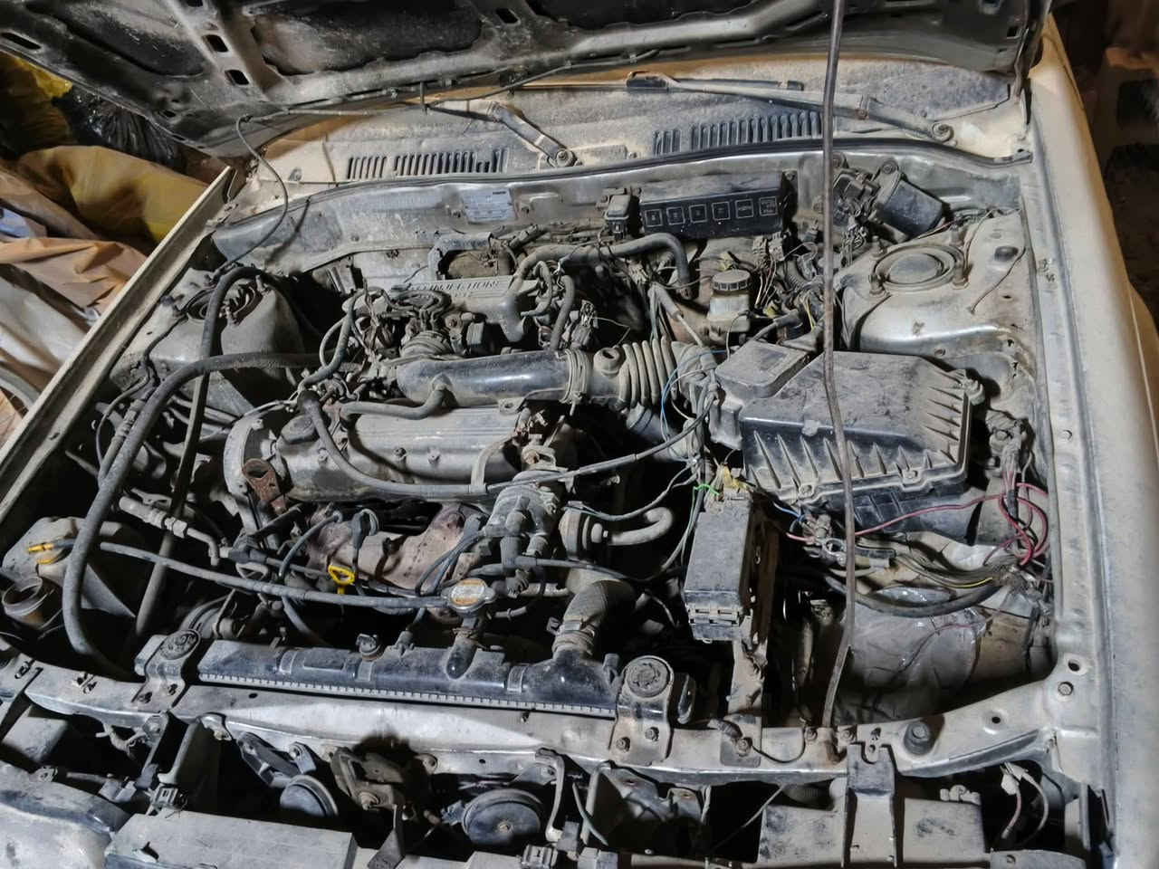 السلام عليكم
مازدا 626
موديل 92
كير عادي 
سنويه ورقيه فحص مؤقت انبار
تبريد بلادي بس مو شغال
البيع على حالتها او بحاله الارقام تكون كامله وكلشي بحسابه وحد 
شغاله تفيد مال داخل مسواك ابو محل بيت
مكان السياره صلاح الدين سامراء
***********
