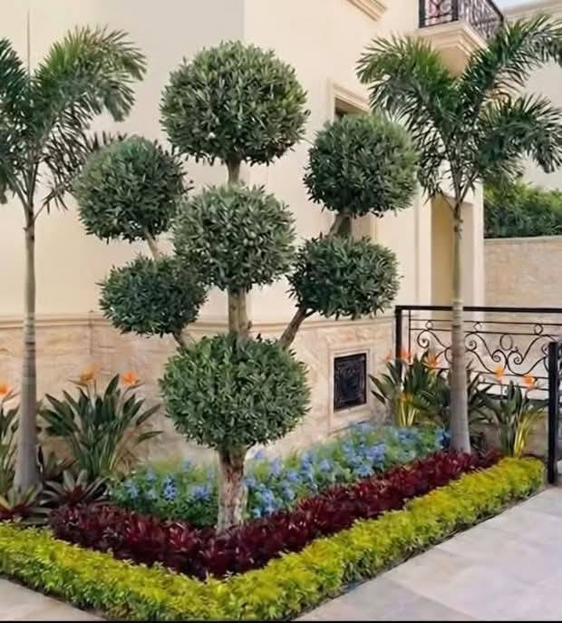 تصميم وتنسيق الحدائق المنزلية - كربلاء فقط
هندسة حدائق احترافية
ثيل - أشجار - نافورات - إنارة
تصميم عصري حسب الطلب - تنفيذ كامل
كربلاء فقط - خدمة منازل
ضمان جودة - عمل احترافي - أسعار مناسبة
اتصل الآن: ***********

نص مكتوب في الصور:
- لمسات لتنسيق الحدائق 0569019455