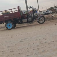ستوته • موديل ١٩ • اوراق اصولي