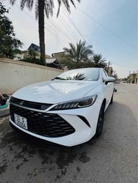داخل زيتوني • جلد • ٢٠٢٥