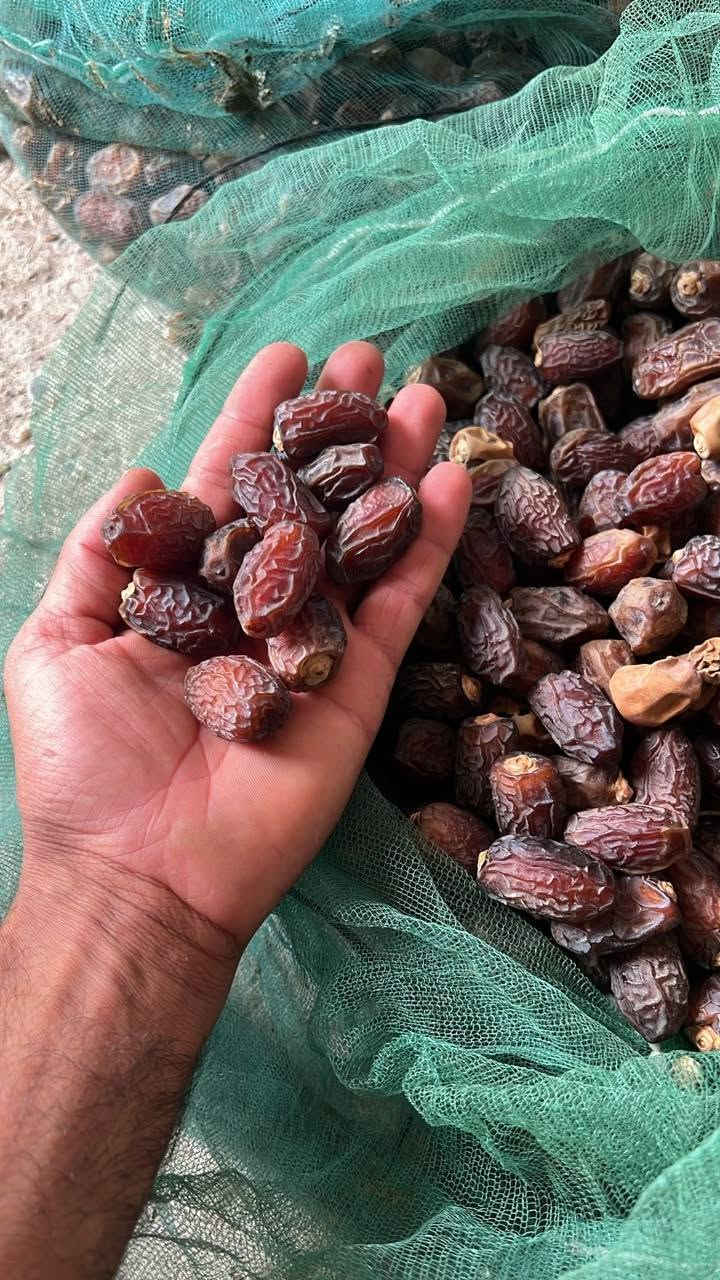 بريم خشنه • كشر نسبة قليلة • محاويل
