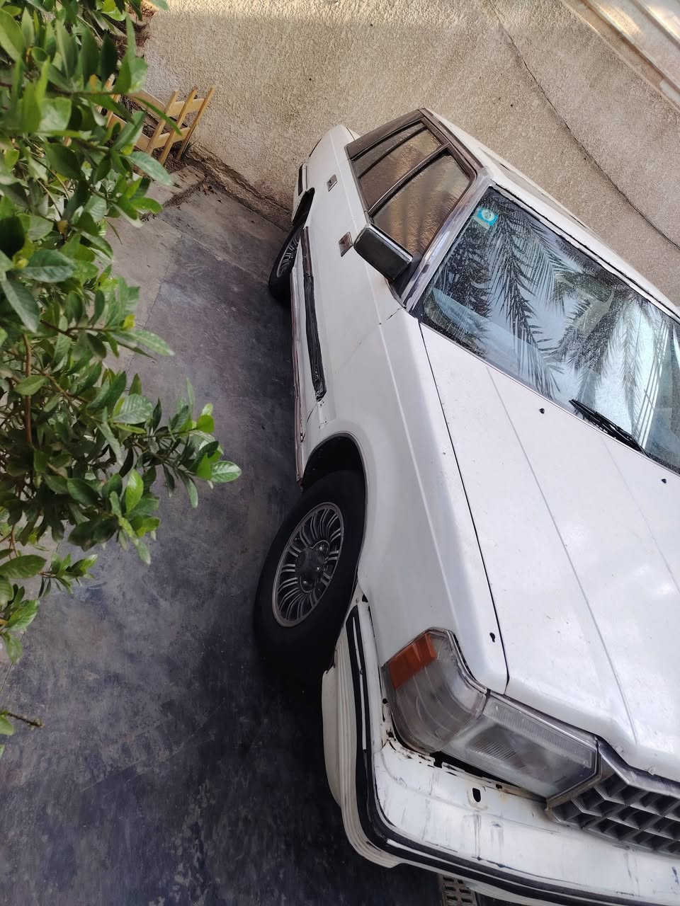 موديل ٨٥ • كير عادي • مكينة بادي