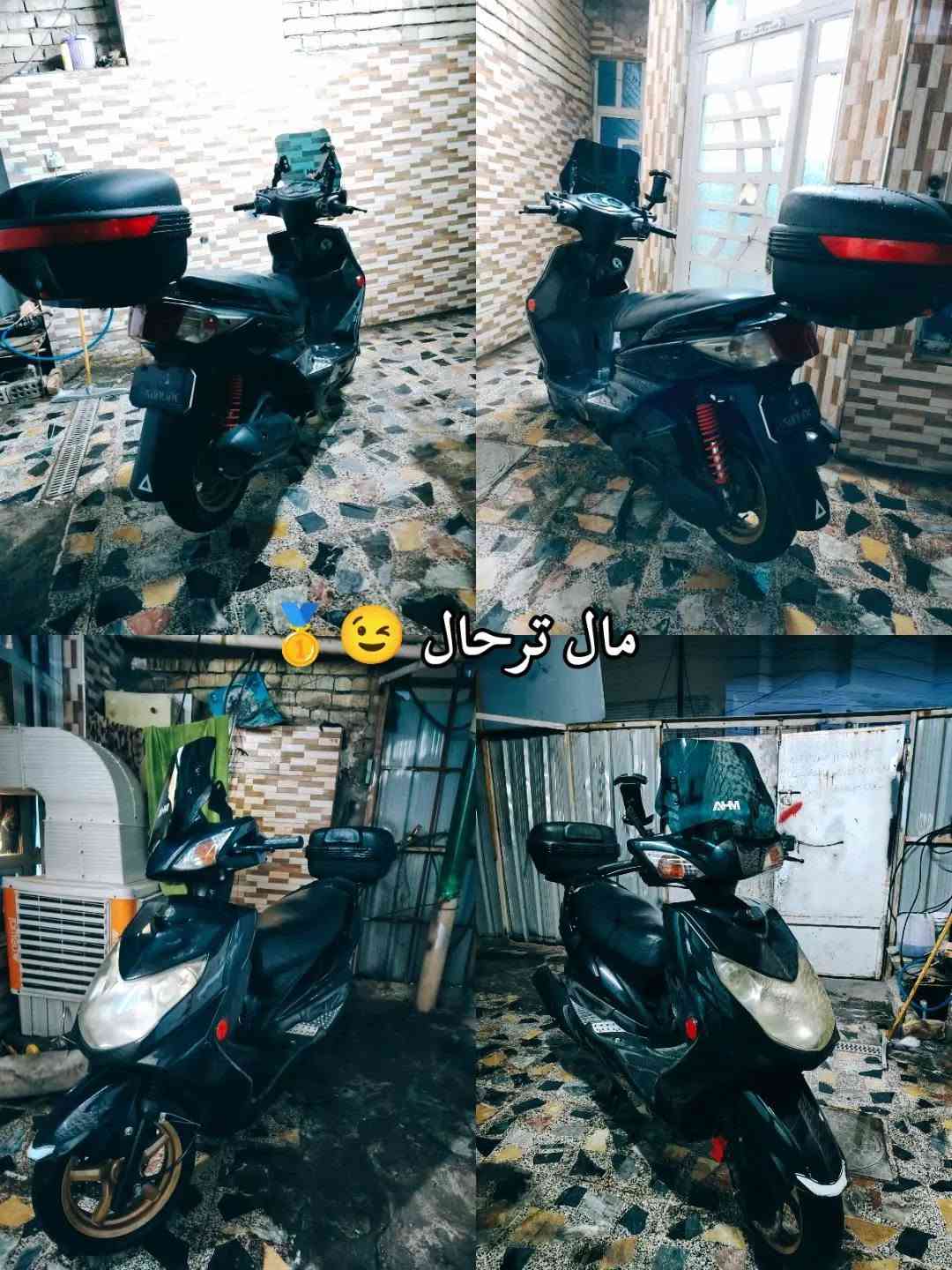 سكنس فحل • جاهزة • زنون