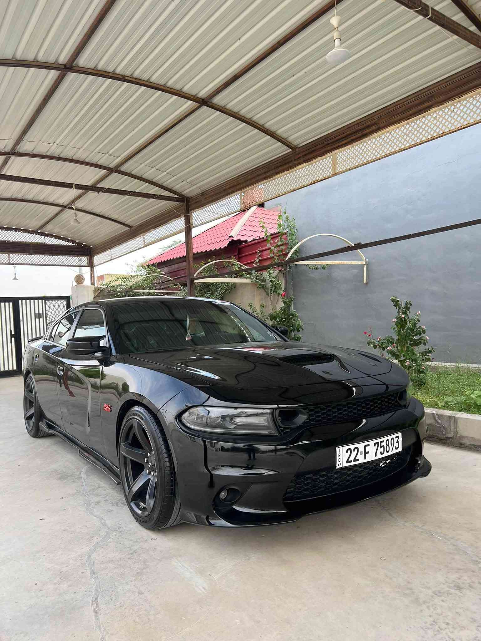 تشارجر SXT • ٢٠١٩ • اربيل
