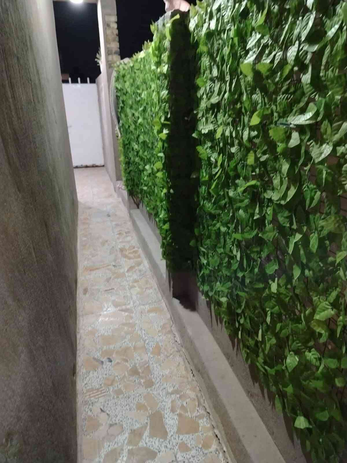 شارع ١٠٠ • طابو زراعي • ١٠٠م
