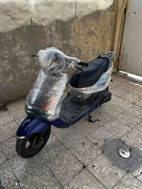 اكزز • فحل • جديد
