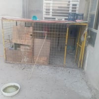 برج طيور • ٢×٣م • كركوك شركت طارق