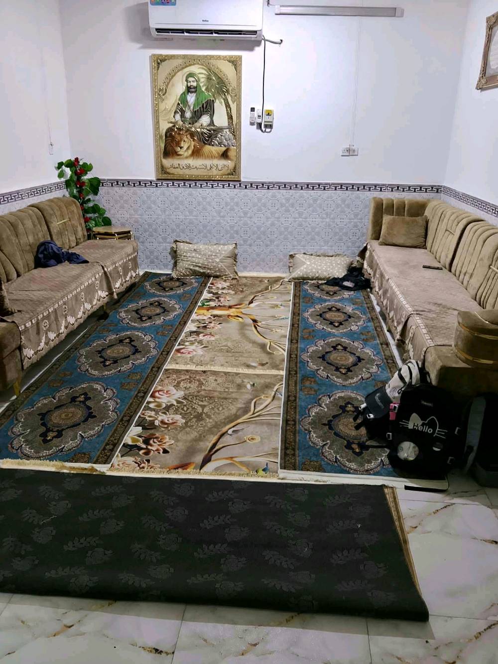 ديوانية الاسكان • ١٠٠م • طابو صرف
