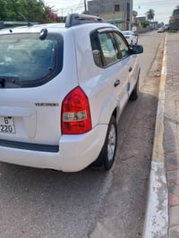توسان • ٢٠٠٩ • مكفولة صبغ وضربه