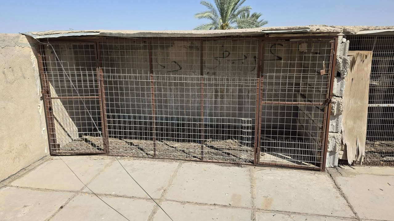 سلام عليكم وجهيات ثنين للبيع وحده بيه بابين تقريبن ٣ امتار ورتفاع متر ونص والثانيه مترين تقريبن سعرهن ال ثنين ٥٥ بيهن مجال مكان حزيران ***********
