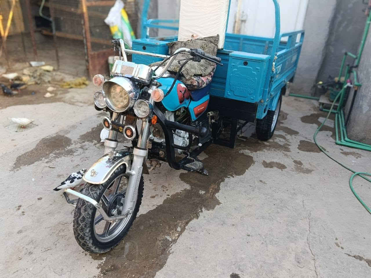 سلام عليكم ستوته بلال 2023 سعر 2 نص وبيها مجال حله البكرلي ***********

