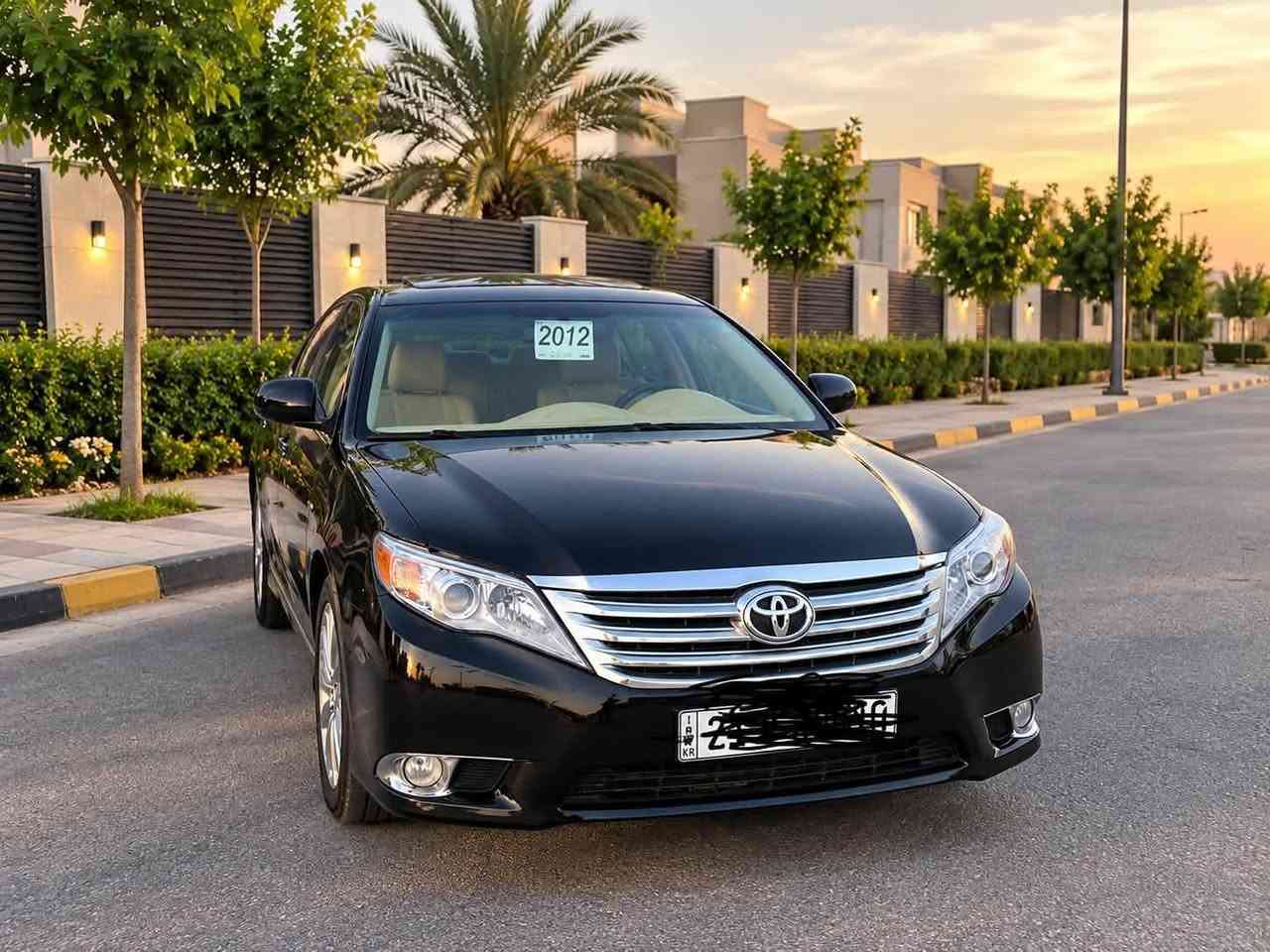 افالون لمتيد • ٢٠١١/٢٠١٢ • صبغ