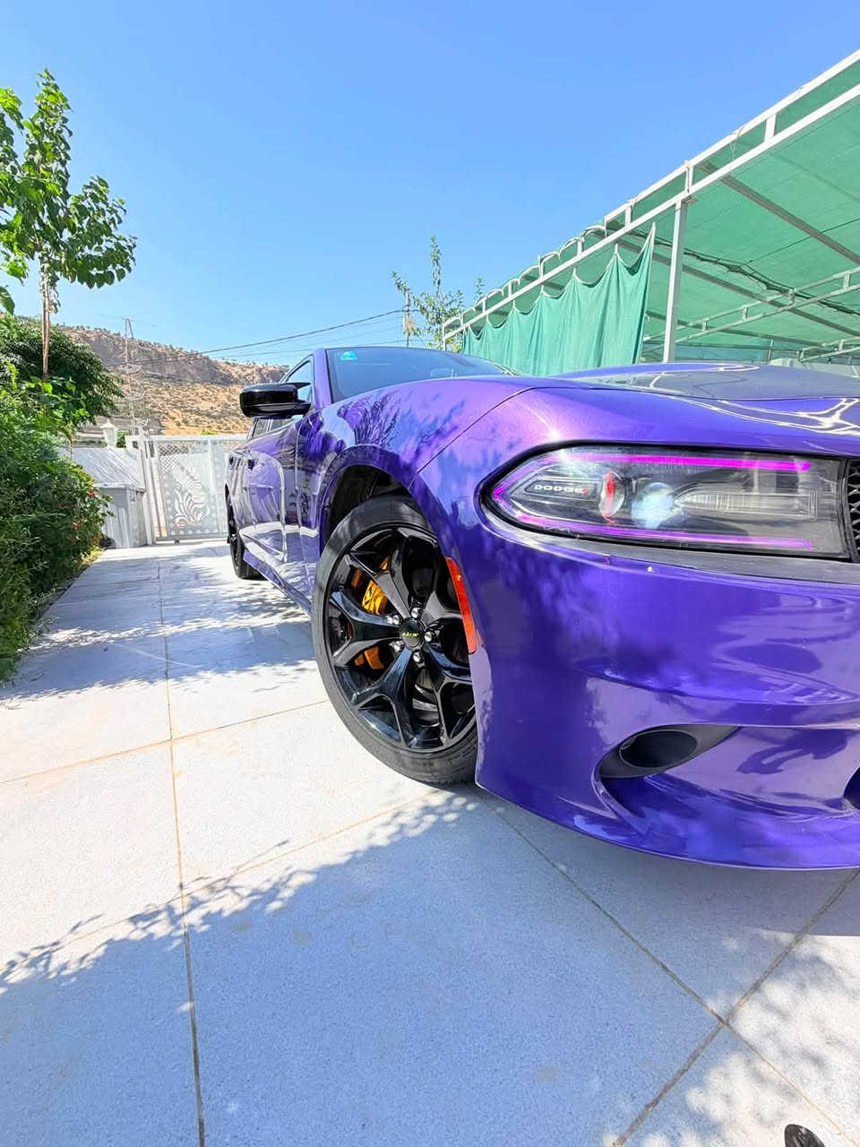 💜 𝐃𝐨𝐝𝐠𝐞 𝐂𝐡𝐚𝐫𝐠𝐞𝐫 SXT ✦ 2019 🇺🇸
دودج جارجر SXT بدي كـــت GT 
‎الموديل : [ 2019 ]
[ 3.6 / V6 ] : المحرك
‎الكير : [ اوتوماتيك ]
‎الممشى : [99 الف ميل ]
‎اللون : [ بنفسجي -مميز ]
‎الحالة : [ حادث بسيط جاملغ فقط]

رقم السيارة : بغداد - تحويل مباشر ✅
السياره مصروف عليه السعر 210
وبيه مجال لاستفسار ***********
‎الموقع : [ بغداد ] 📍

‎
