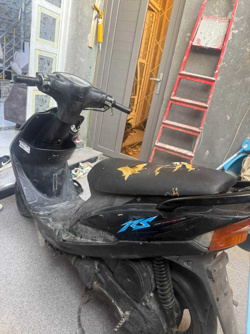 ماكس عدله • ٥٠ • نعامه