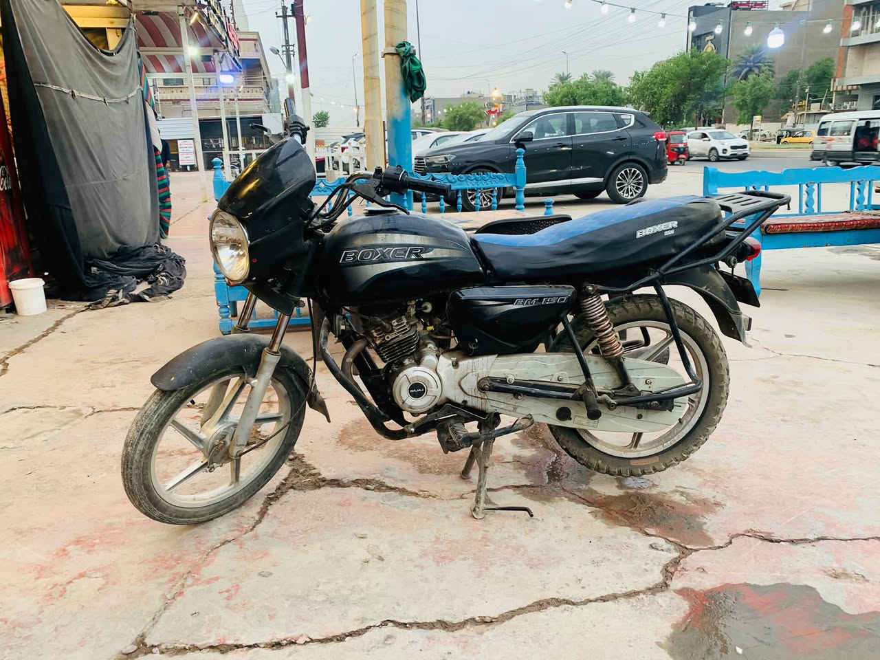 بوكسر • چواكيچ • ٢٠١٩