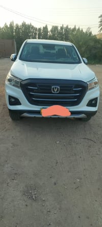 شانجان فول • بيها مجال • رقم اربيل