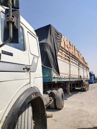 عربانة بلوم • ١٤مربع • طول ١٢٫٥م
