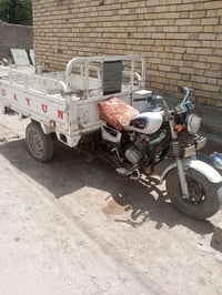ستوته • ٢٠٢٠ • اوراق اصلية