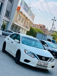 التيما ٢٠١٦ • وارد كندي • ضرر خلفي