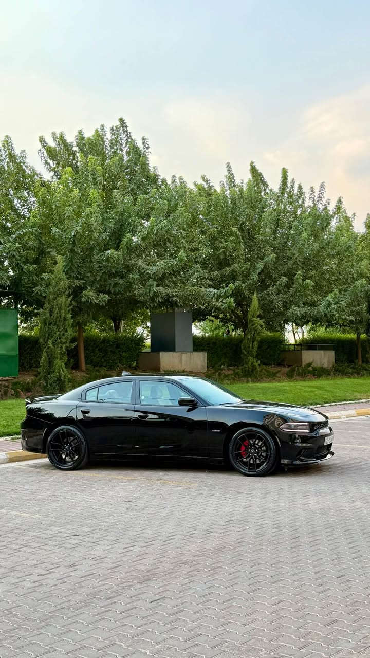 Dodge Charger 2017 (RT)
📍 شوێن: سلێمانی

سەیارەکە زۆر پاک و نموونەی جوانیە، کامل دەسکاری و سپۆرت کراوە.

مواسەفات:

* مەکینە5.7
* 4 تایەر و ویلەکانی نوێ
* قەپات مواسەفات (بێ سلاید)
* بەسمە و شەخال
* رادار و گێڕ لەسەر سوکان
* ناوکرێمی 
* بەرەی کامل کاربۆن فایبەر
* ڕەقم و سەنەوی تازە
* کوشن کارەبا
* کوشن هیتەر
* صالۆنی سپۆرت
* 

سەیارەکە لە ڕووی پاکی و دۆخەوە زۆر جوانە، بۆیاخەکە دووپەڵەی بچوکی بۆیاخە

شوێن:سلێمانی
رقم:***********
نرخ:١٧٧$ السليمانية, العراق
