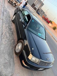 راس الثور • اسود زيتوني • بصره سفوان