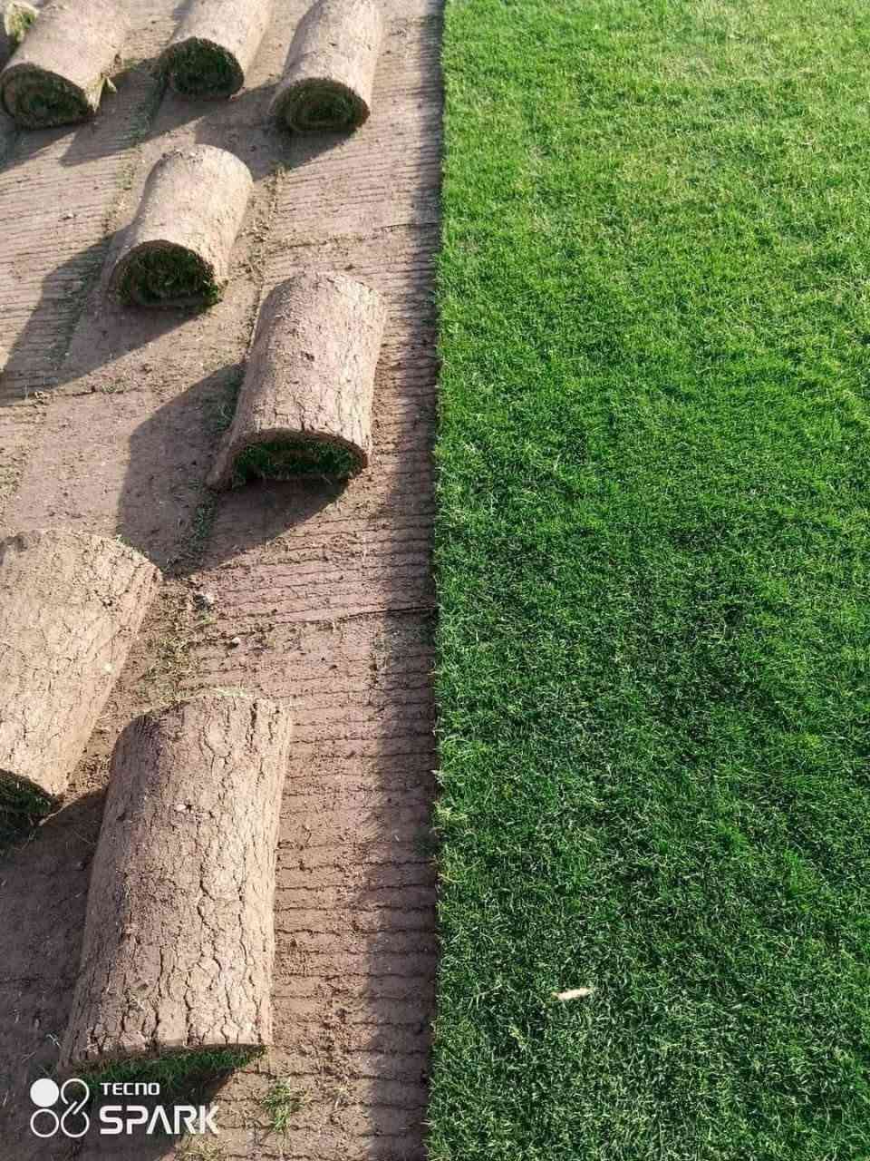 ثيل هندي درجه أوله للبيع و إيطالي و فرنسي  لاستفسار يوجد لدي كادر عمل فرش حدائق ***********

نص مكتوب في الصور:
- هندي
- ايطالي
- فرنسي