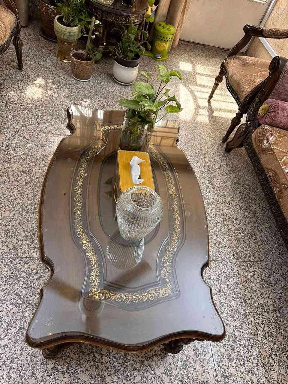 تخم ملكي • ٩مقاعد • الشعب بغداد