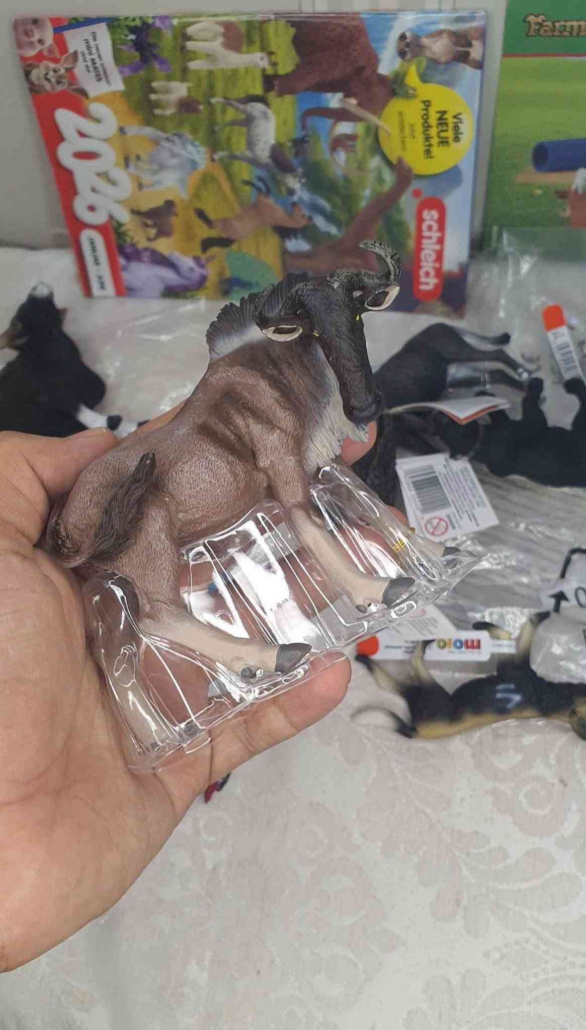أول شحنة • حجز مسبق • جمال القطع