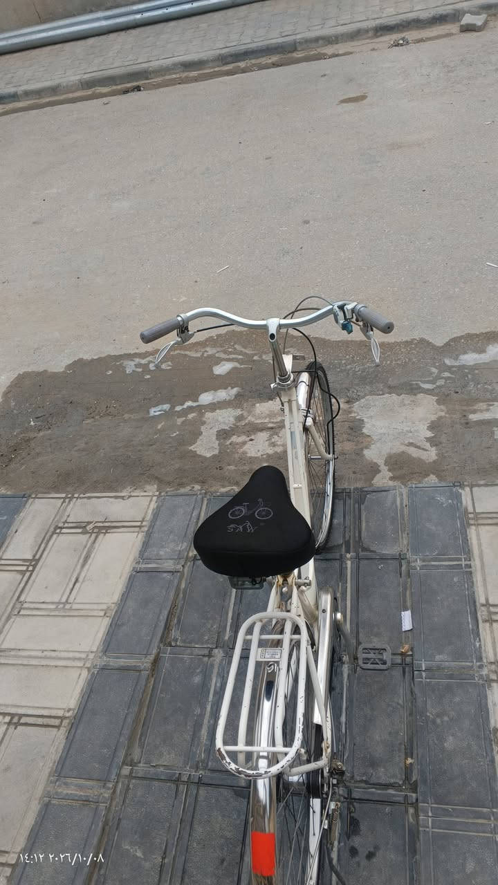 باسكل • نضيف • نجف مشخاب