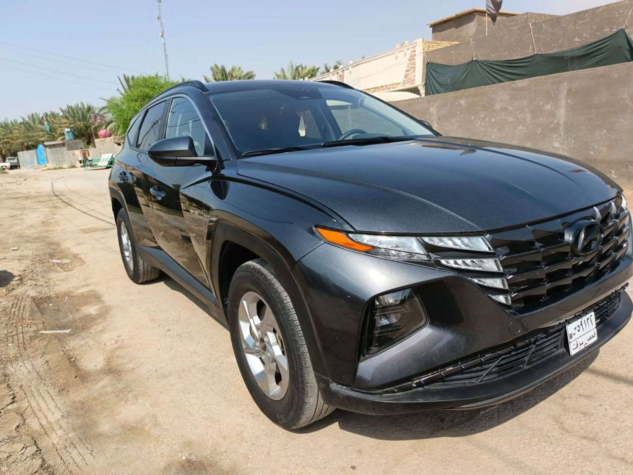 توسان ٢٠٢٤ • وارد أمريكي • مرقمه بابل