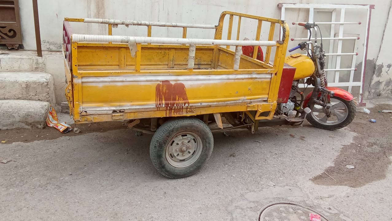 ستوتة • للبيع • تواصل