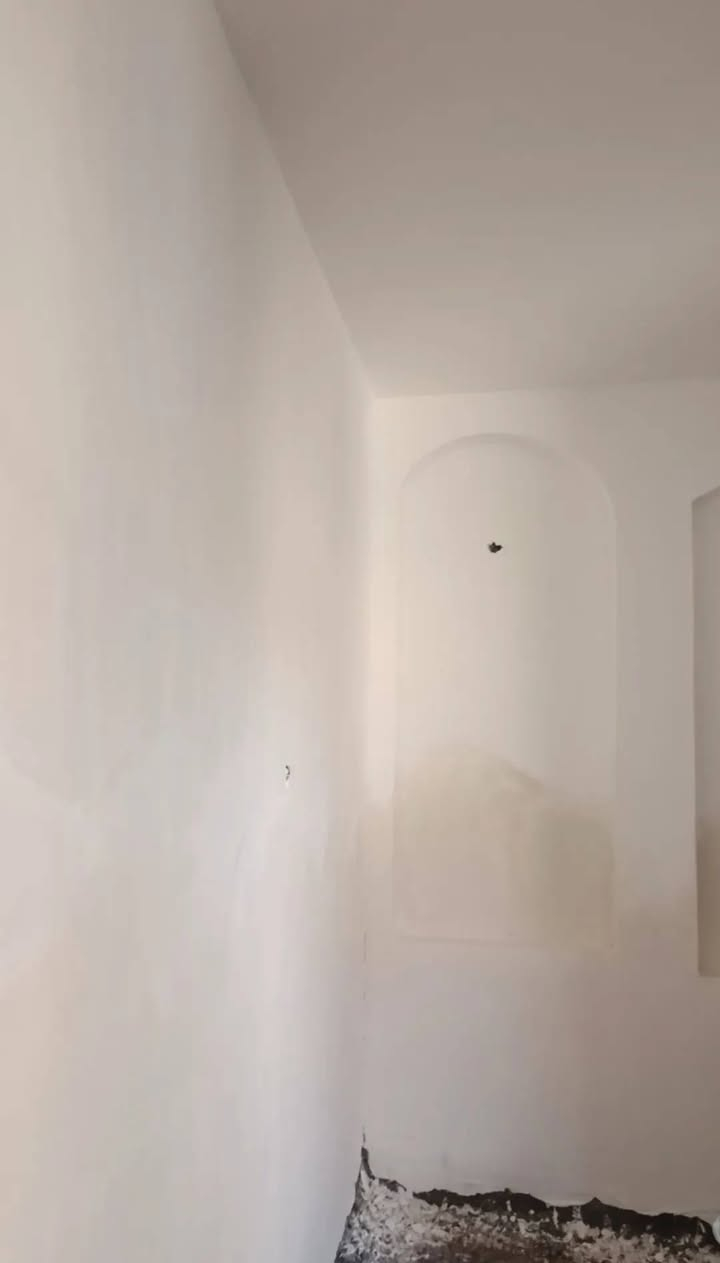 نريد شغل بل ناصريه خلفه لباخ وجص و مخمر و نثر 
سعارنه بلاش شغلنه داخل ناصريه فقط رقم *********** تصل بيك خير ودلل رقم *********** الثاني

