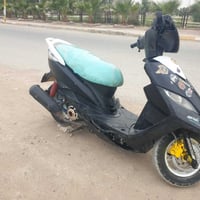 ثعلب • بوشه ٥٩ • سلف
