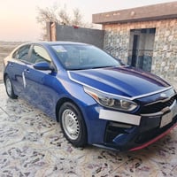 ٢٠١٩ • وارد امريكي • ضربه مكفوله