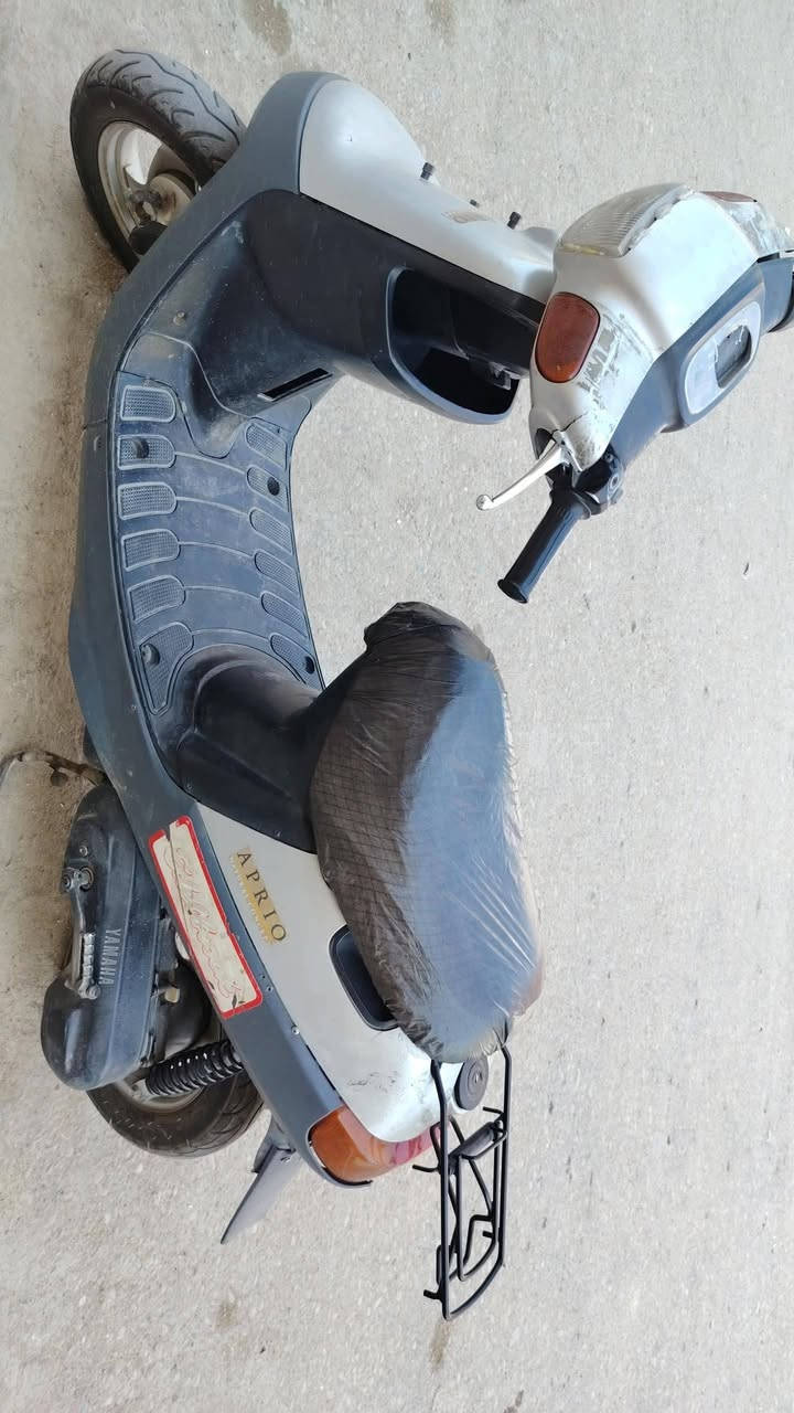 بطه • نضيفه • سلف وهندر