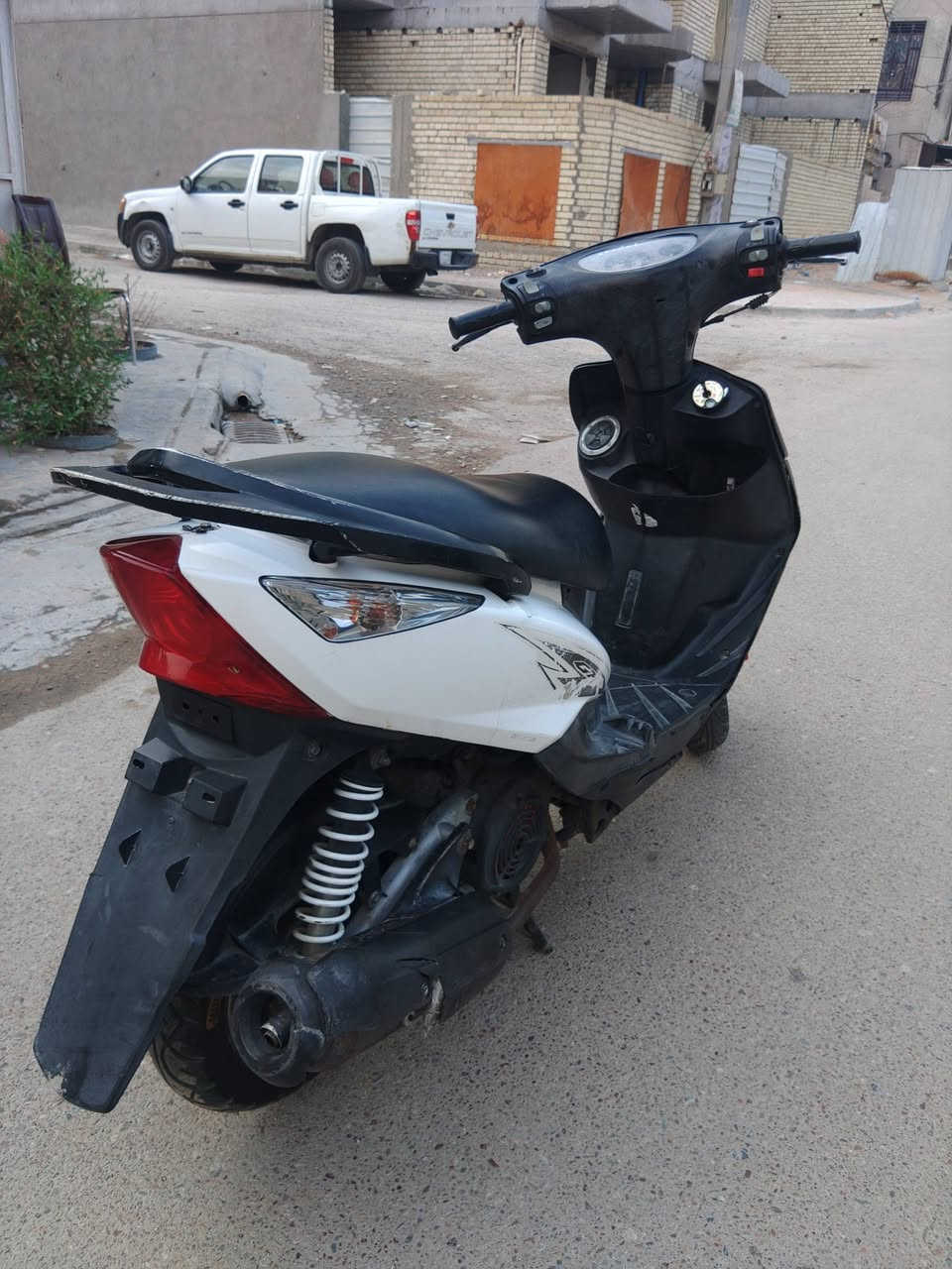 ثعلب • نضيفة • ممفتوحة