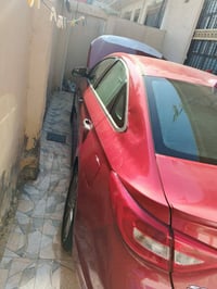 سوناته • ٢٠١٧ • وارد امريكي