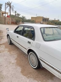 ارنب • مكفوله • سوق الشيوخ