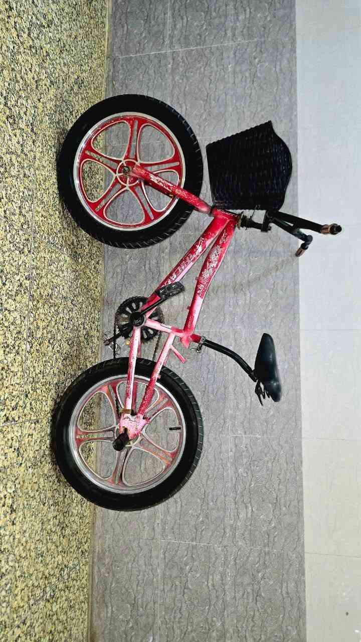متاح
بيسكل BMX  (بي أم اكس) البريك بالبايدر للخلف السعر (40) الف بي مجال / بغداد العبيدي
هـ  ***********
لايوجد توصيل
