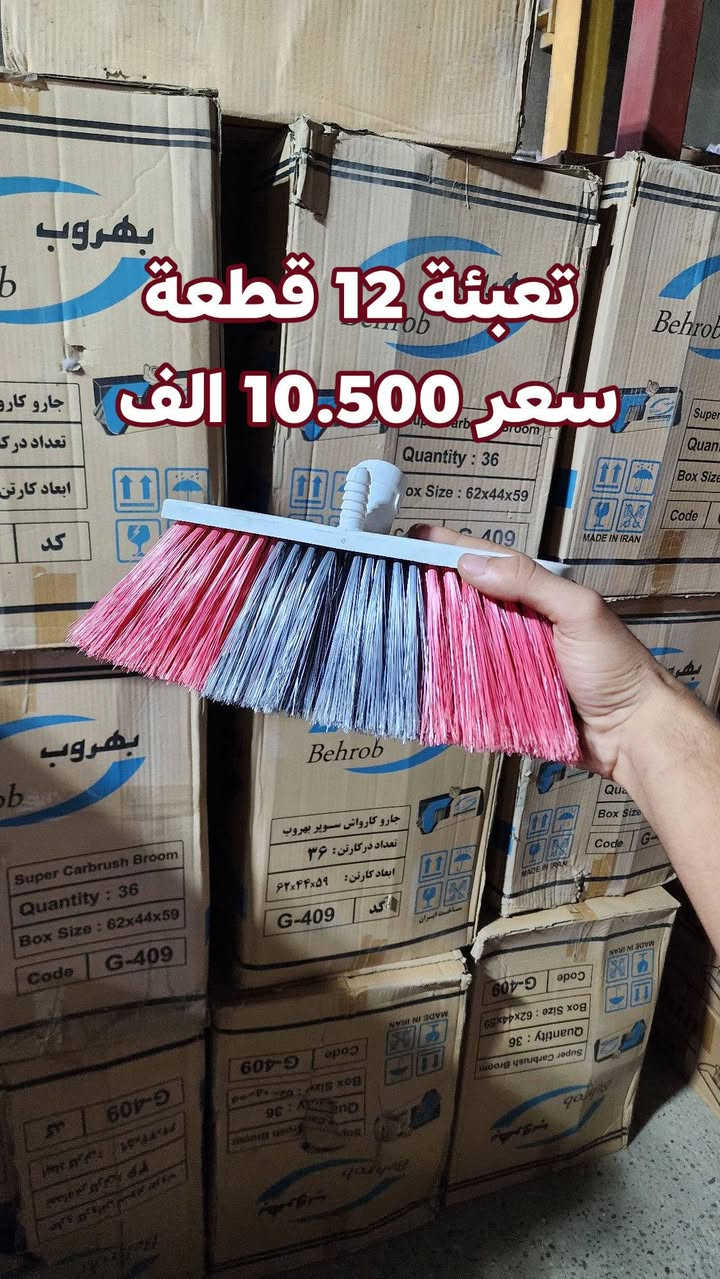 فرشاة كنس • تعبئة 12 • كمب ساره