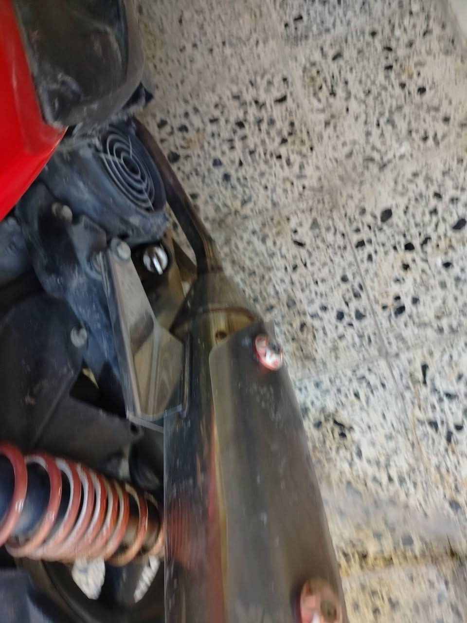 سلام عليكم صالنصة سكنس فحل رياضي بوشة وحدة اصلية أم لحساس و صالنصة كلشي ما بيها لا لحيم ولا شي سعرها 95 و بيها مجال و موجود مراوس شعندك نزل للستفسار *********** بغداد المشتل يم قهوتي الذهبية
