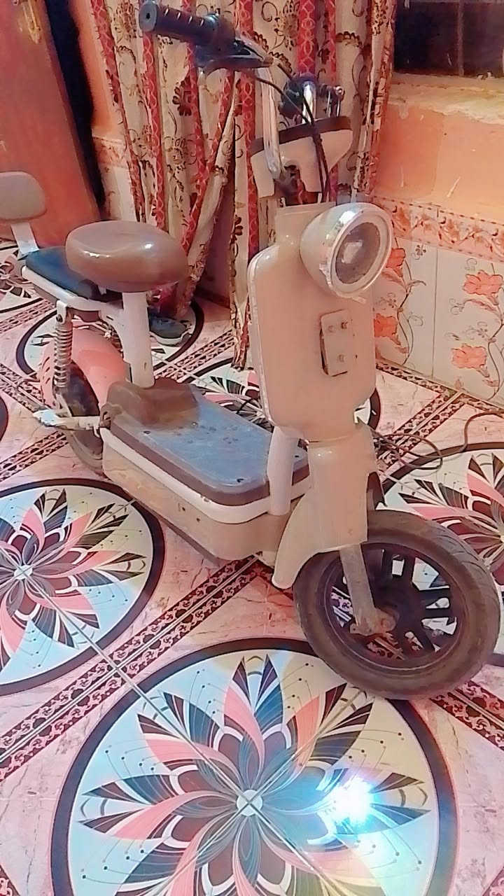دراجة شحن • حجم ١٤ • شاحنته موجود