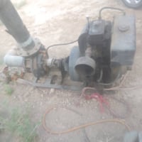 ماطور هندي • حجم ١٢ • ديالى