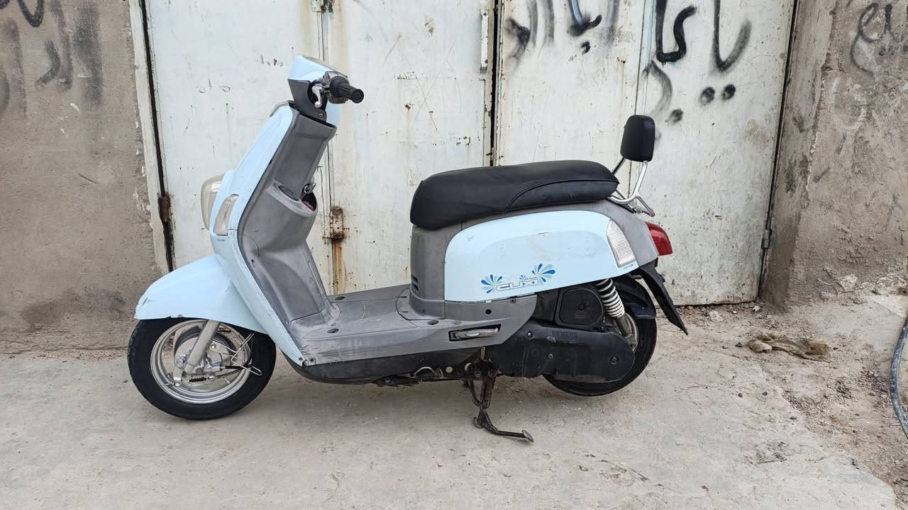 بلاديه • تجاري • سلف