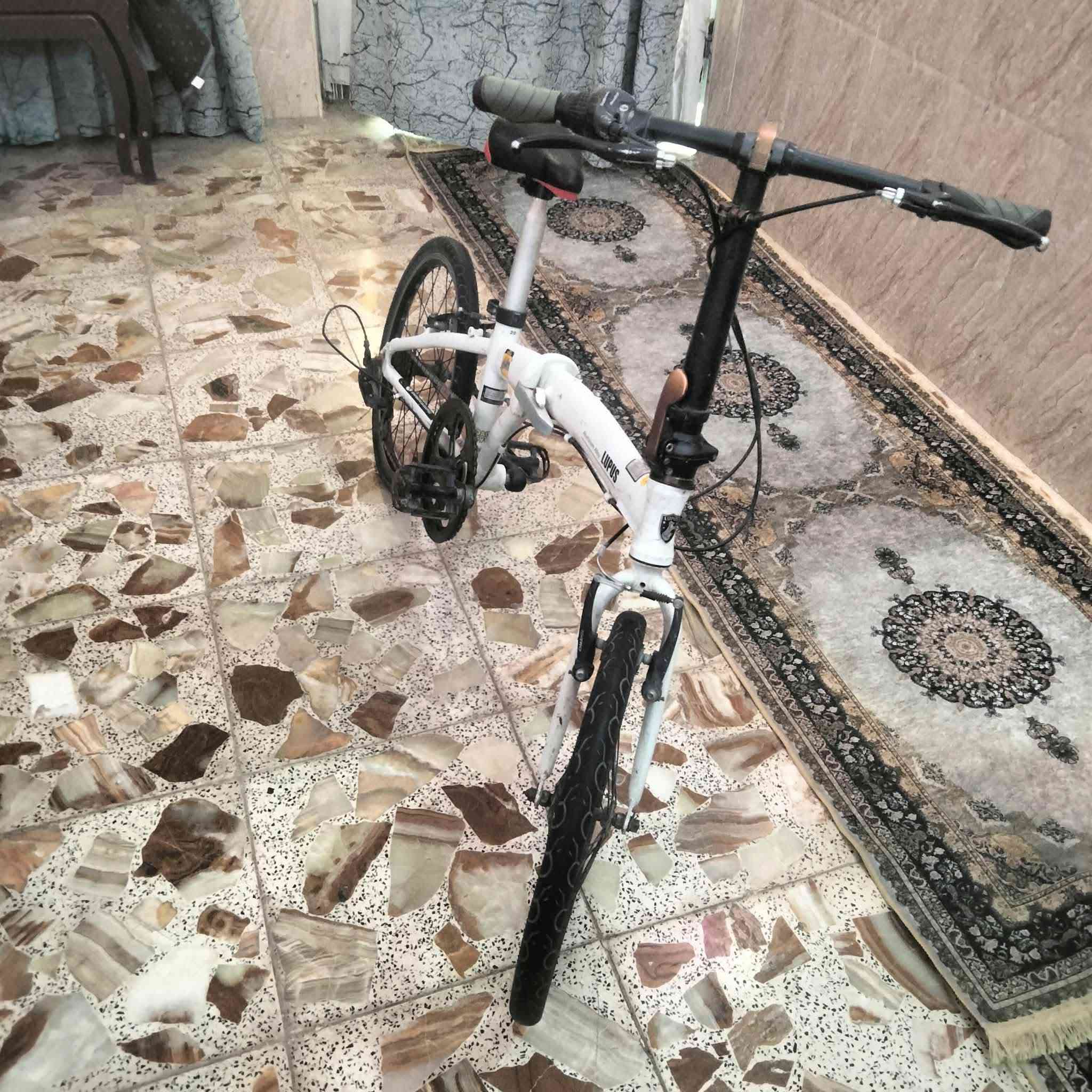 ياباني • حجم ٢٠ • نضيف