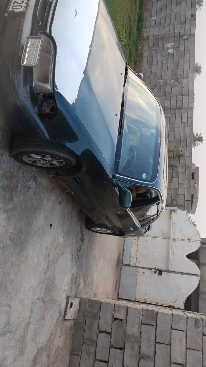سوناته • رقم اربيل • الضلوعية