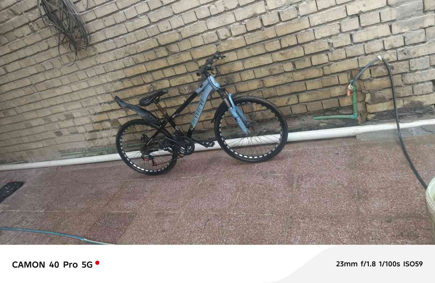 بيسكل • ياباني • سعر خاص