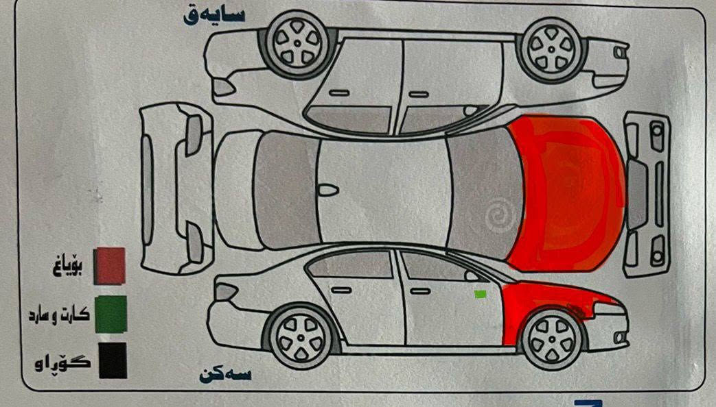 توسان • ٢٠١٨ • كشنات جلد