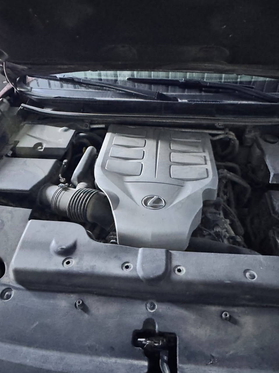 للبيع لكزز برادو LX460 2018 وارد امريكي رقم بغداد انكليزي
مواصفات فوول

سياره ماشيه 67 الف حقيقي 

فتحة سقف

تحكمات استيرن 

كشنات تدفئة تبريد

دفع رباعي 

 مري شفط

خزن ميموري للسائق

بصمه 

اشارة ترحيب 

 

للاستفسار ***********
